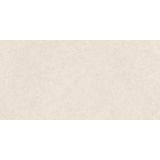 SPC wandpaneel Revolution 60x120cm (4 stuks)