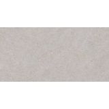 SPC wandpaneel Revolution 60x120cm (4 stuks)